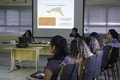 Instituto Mamirauá oferece seis minicursos voltados à biologia, ecologia, análise de dados e estudos sociais.