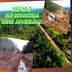 UM TRISTE ANIVERSÁRIO: A BR 319 COMEÇOU HÁ 50 ANOS E ATÉ HOJE É UMA CHAGA ABERTA NO CORAÇÃO DA AMAZÔNIA