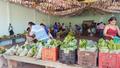 Famílias cadastradas no CadÚnico recebem alimentos gratuitos em Rolim de Moura 