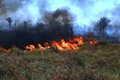 Operação Jequitibá pretende prevenir e combater focos de calor e incêndios em Rondônia