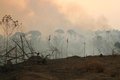 Ações coordenadas de órgãos públicos evita que incêndios atinjam reservas florestais em Machadinho do Oeste 