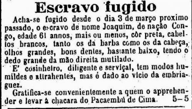 Retrato em Preto e Branco - Gente de Opinião