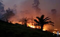  Incêndio já destruiu cerca de 5 mil hectares de reserva ambiental em Nova União