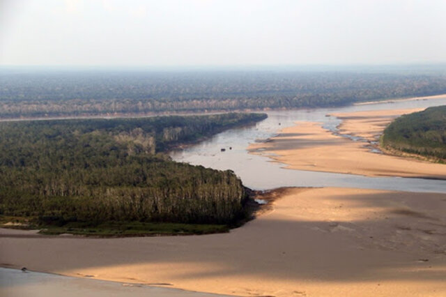 Lenha na Fogueira e o Dia da Amazônia - Gente de Opinião