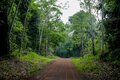 Governo de Rondônia organiza a Resex Rio Cautário para créditos de carbono; famílias recebem bolsa mensal de R$ 1 mil