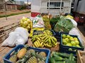 Prefeitura de Rolim de Moura distribui 4 toneladas de alimentos do PAA