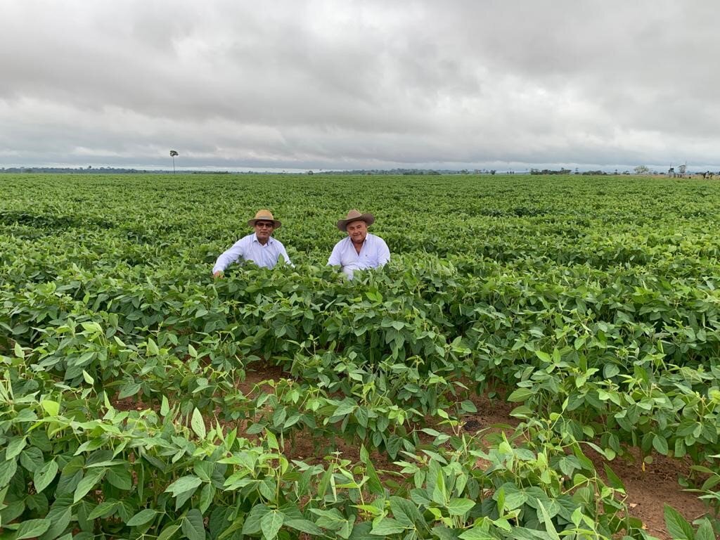 Foto do agropecuarista Jorge Moura em sua plantação de soja. - Gente de Opinião