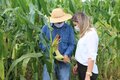 Prefeita de Ariquemes visita produtor de silagem de milho e criador de gado leiteiro