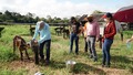 Prefeita Carla Redano visita produtores e garante apoio ao Homem do Campo de Ariquemes