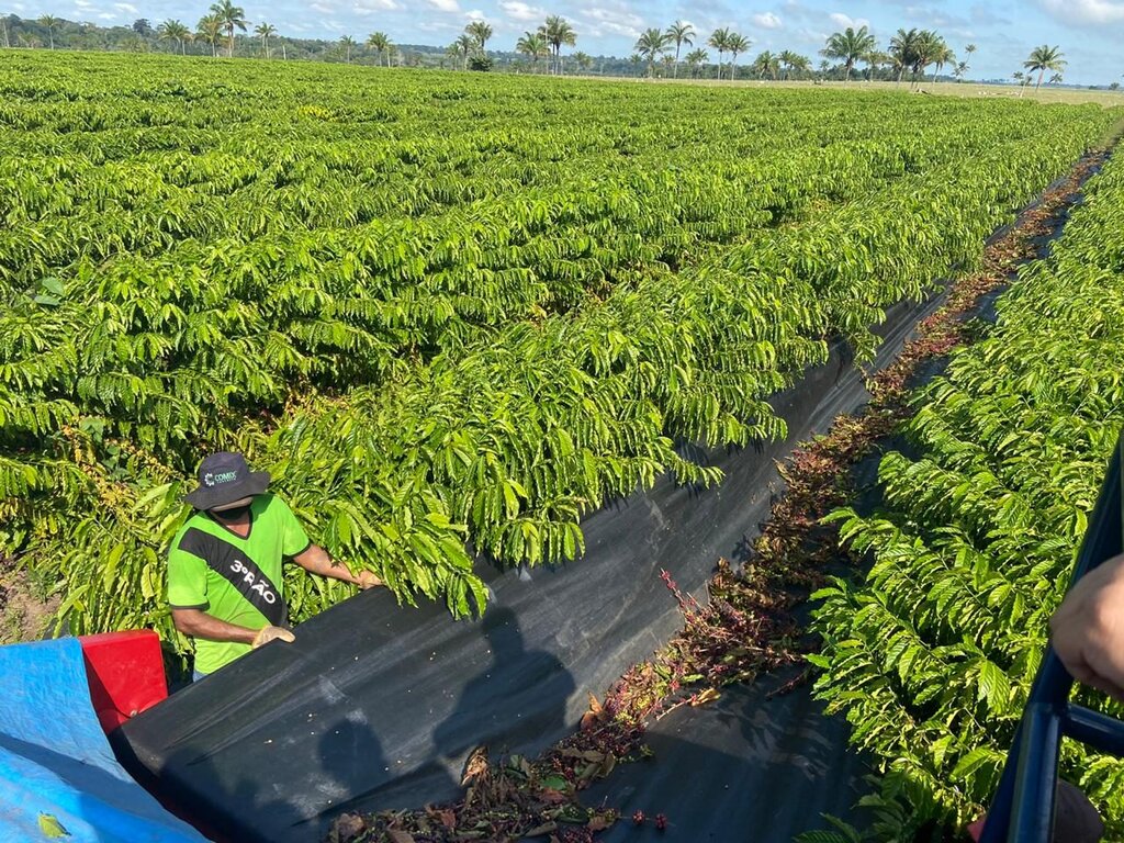 Pelo Protocolo de Intenções, o Banco da Amazônia disponibilizará recursos aos setores produtivos do Estado - Gente de Opinião