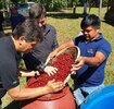 Robustas Amazônicos Finos: quem semeia boas práticas, colhe qualidade