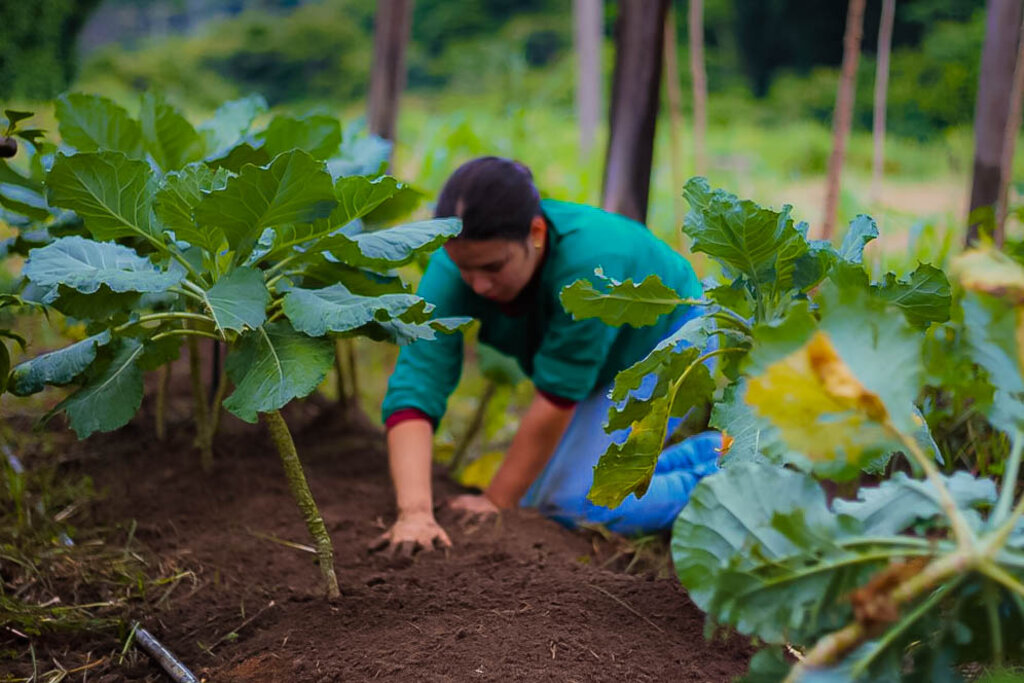 Projeto visa potencializar as ações do Governo de Rondônia na agricultura familiar - Gente de Opinião