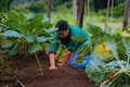 Projeto “Governo no Campo” vai fortalecer Agricultura Familiar nos 52 municípios de Rondônia