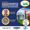 Encadeamento produtivo em torno do mercado de grãos será debatido em evento on line