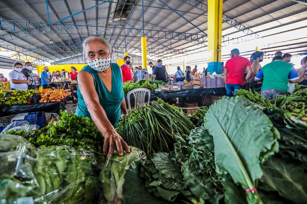 Pilar da economia, agricultor tem reconhecimento da Prefeitura de Porto Velho - Gente de Opinião