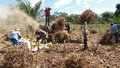 No Dia do Agricultor, Governo de Rondônia destaca a importância da agricultura para impulsionar a economia