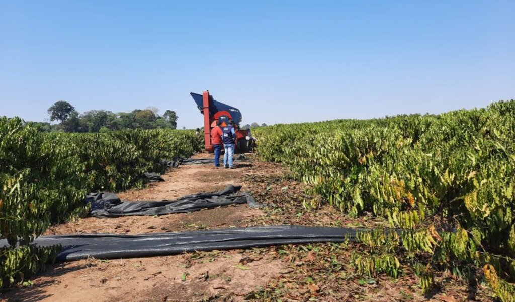 Técnicas utilizadas nas cadeias produtivas do café, do leite e do peixe em Rondônia chama a atenção do estado do Acre - Gente de Opinião