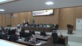 Sebrae e deputados de Rondônia discutem em audiência pública a cadeia produtiva da castanha do Brasil 