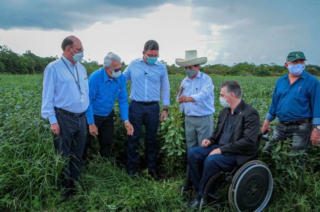 Presidente do Peru Pedro Castillo (chapéu) conheceu de perto alguns plantios produzidos pela Embrapa Rondônia - Gente de Opinião