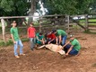 Produtores de Rolim de Moura recebem curso de auxiliar de veterinária e vacinador de bovinos