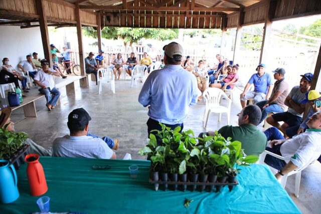 Em reunião com produtores do distrito de Novo Plano, Seagri e Emater entregaram mudas de café para produtores - Gente de Opinião