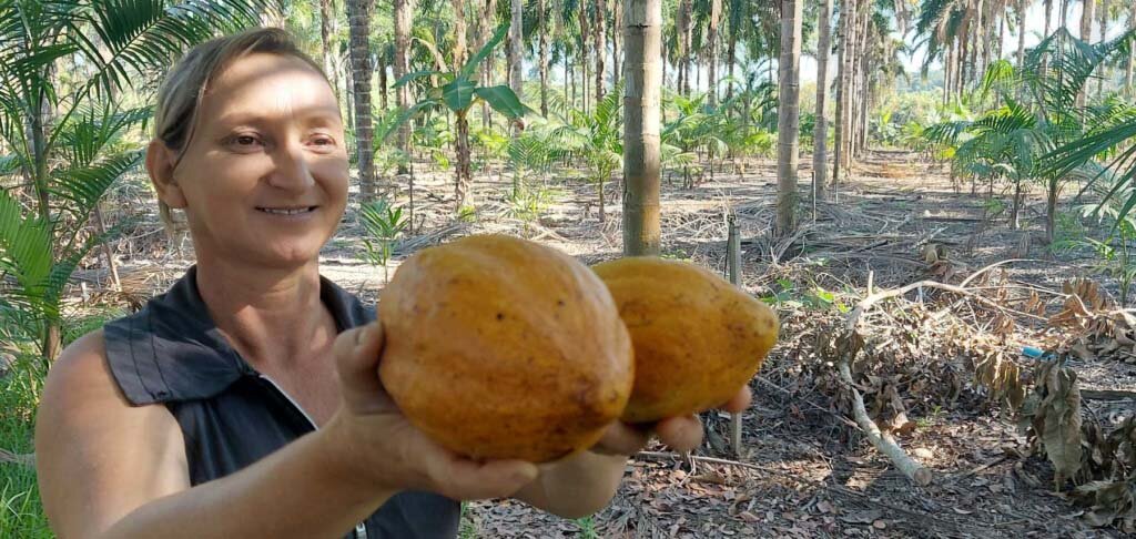 Agricultores beneficiados em projetos o CES Rioterra mostrando a manufatura da amêndoa de cacau para a produção de chocolate. - Gente de Opinião