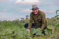 Agricultor contribui para o fortalecimento da produção e mercado consumidor em Porto Velho