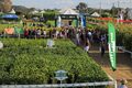 Novos acessos de entrada e saída e 1º ConQueijo são algumas das novidades da Rondônia Rural Show