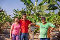 Agricultor colhe os frutos do seu reflorestamento em Sistema Agroflorestal