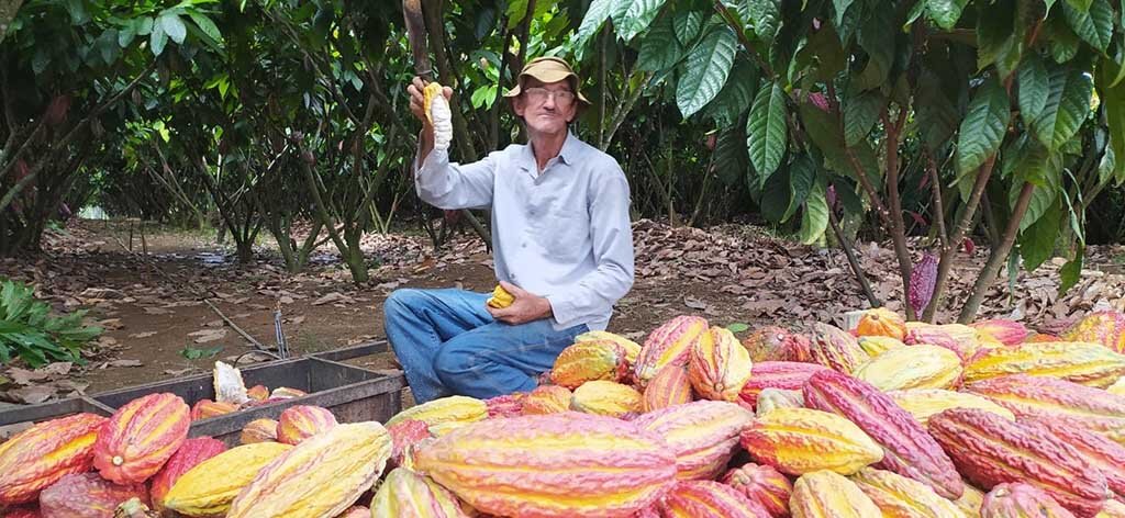  Produtor do estado de Rondônia é finalista no IV Concurso de Qualidade de Cacau Especial do Brasil  - Gente de Opinião