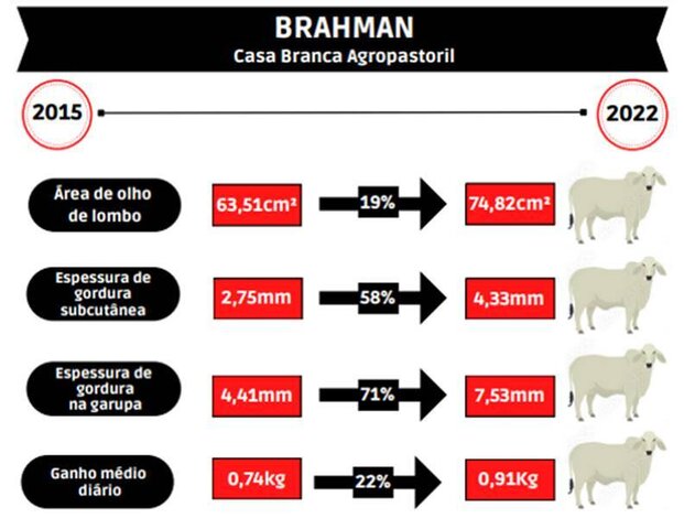 Há dez anos, provas de desempenho identificam os melhores animais da Casa Branca - Gente de Opinião