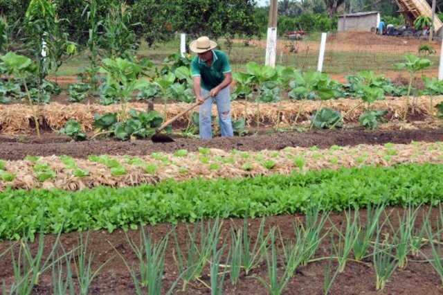 Produtores rurais que necessitam do CAF deverão procurar o escritório da Emater/RO - Gente de Opinião