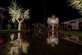 Decoração natalina do Parque da Cidade fica à disposição do público até domingo (8)