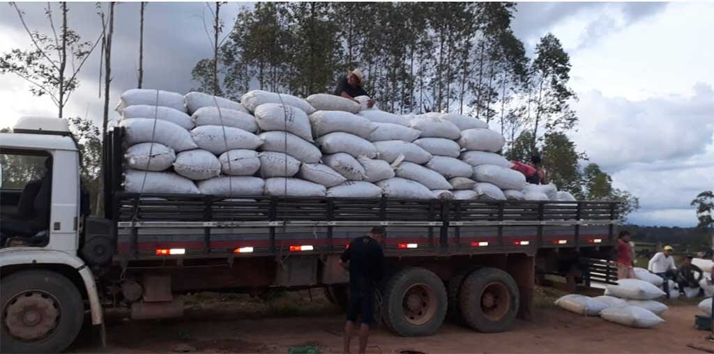 Com a ajuda de parceiros, indígenas da etnia Zoro coletam 120 toneladas de castanha-do-Brasil nesta safra - Gente de Opinião