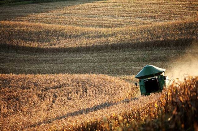 Valor da Produção Agropecuária fecha 2022 em R$ 1,189 trilhão - Gente de Opinião