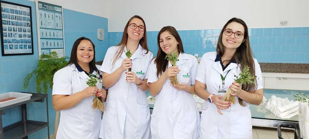 Foto Equipe Lab Sementes (esquerda para direita): Bruna Isabele da Silva, Nathalia Rebolho Turozi, Jordana Mayra Nassar e Amanda Turozi Zulianelli de Lima. - Gente de Opinião