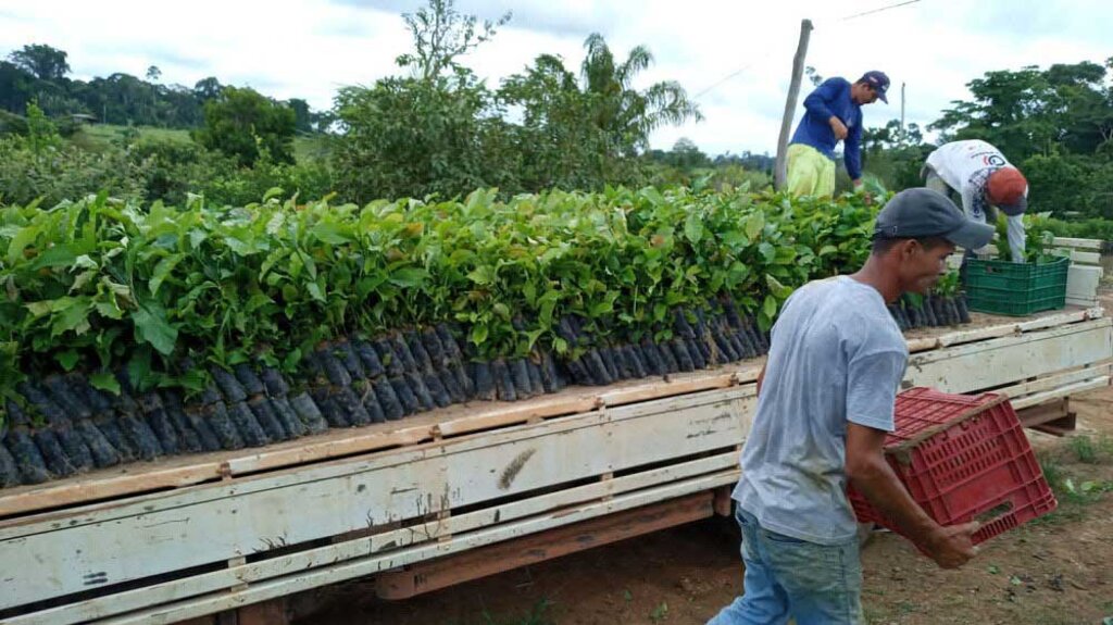 Ações implementadas pelo governador Marcos Rocha vêm transformando o agronegócio em Rondônia - Gente de Opinião