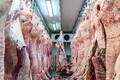 Exportações de carne bovina do Brasil devem superar média global em 2023