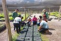 Centro de Estudos Rioterra promove capacitação sobre “Produção de Mudas e Coleta de Sementes”