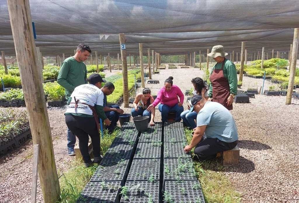 Centro de Estudos Rioterra promove capacitação sobre “Produção de Mudas e Coleta de Sementes” - Gente de Opinião