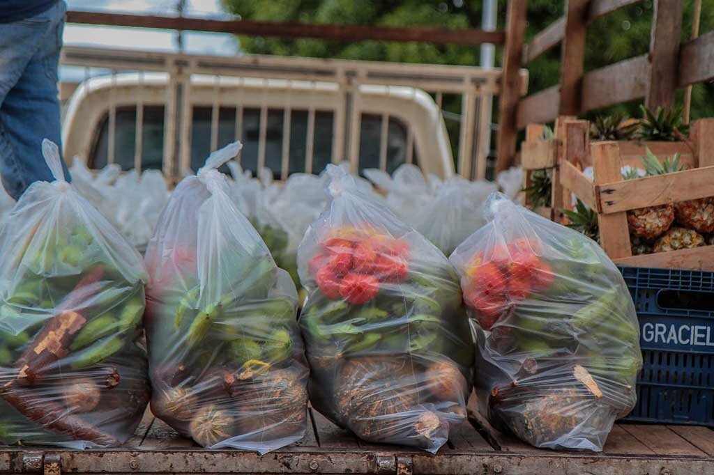 A compra dos produtos da alimentação escolar é pautada pela valorização da agricultura familiar  - Gente de Opinião