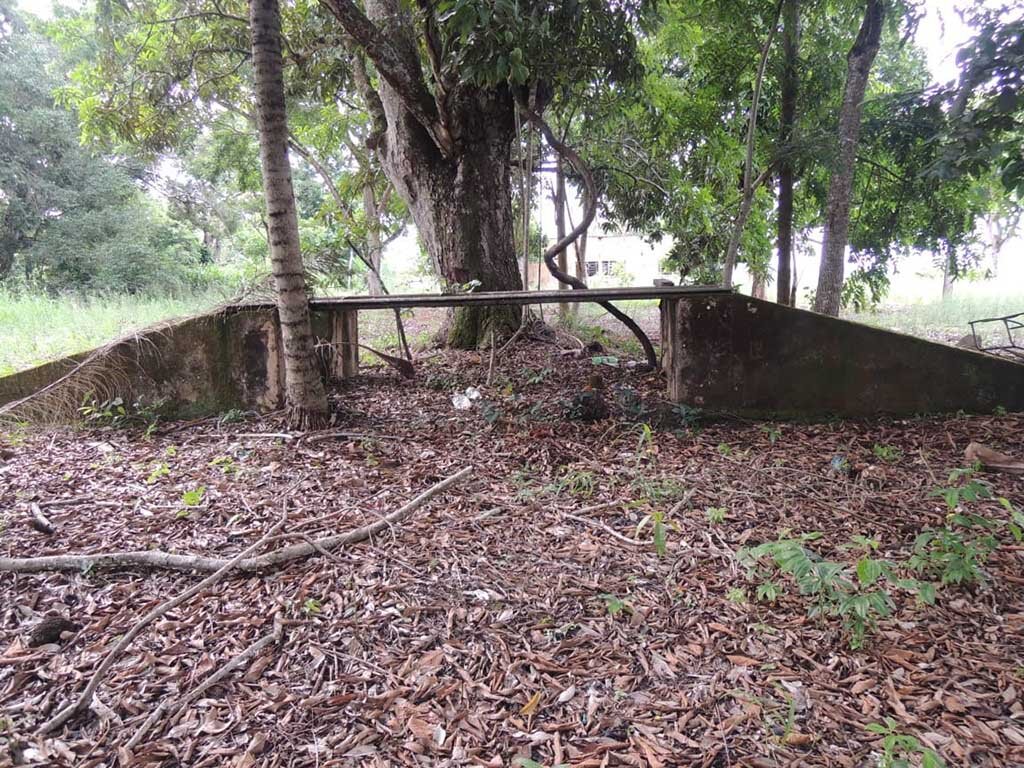 Curso de Arqueologia da UNIR inicia primeira escavação urbana em Rondônia - Gente de Opinião