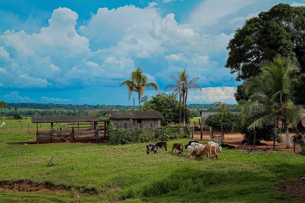 Milhares de familiares tiram seu sustento de alimentos produzidos em suas pequenas propriedades - Gente de Opinião