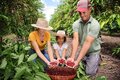 No Dia das Mães, cafeicultora de Novo Horizonte se destaca pelo trabalho com café e pelas premiações recebidas