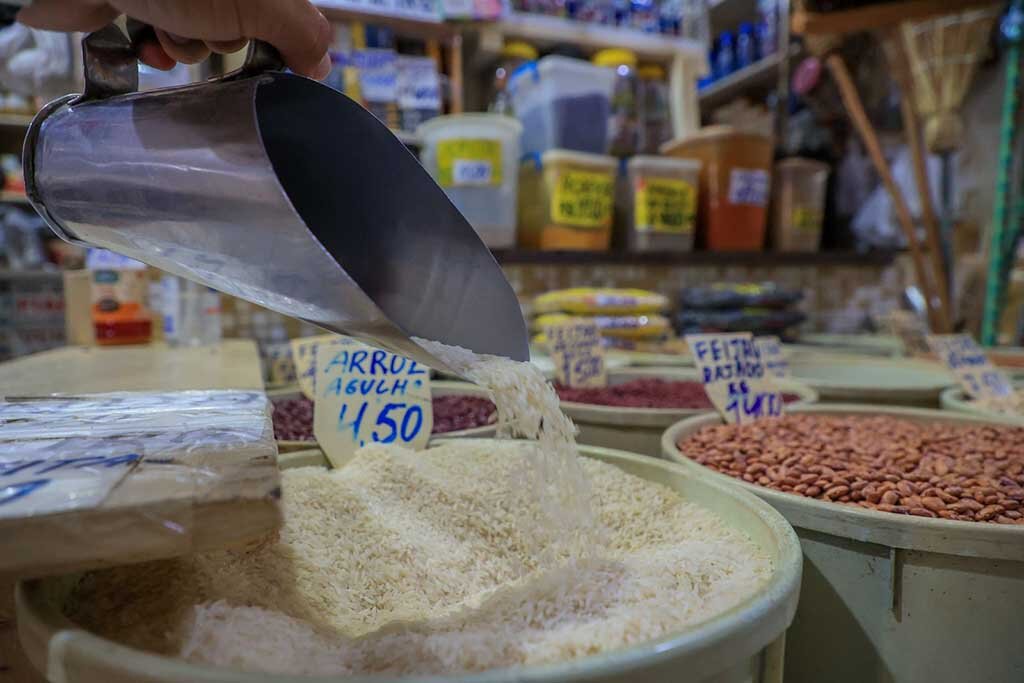 A cultura do arroz sofreu um crescimento de 1000% em dez anos - Gente de Opinião