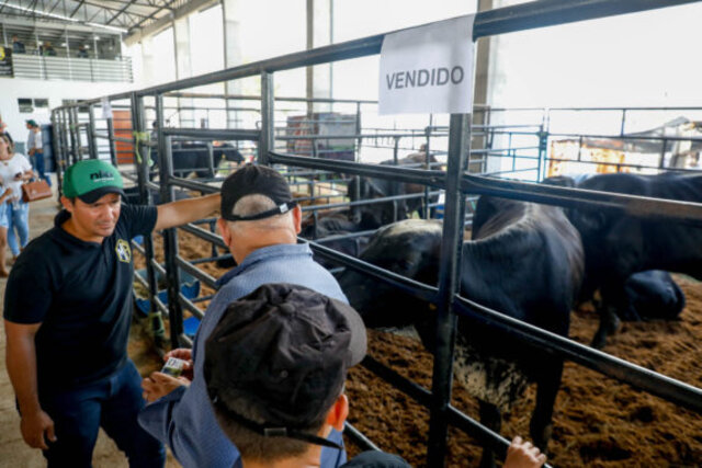 Décima Rondônia Rural Show Internacional ultrapassa R$ 1 bilhão em negócios em dois dias de Feira - Gente de Opinião