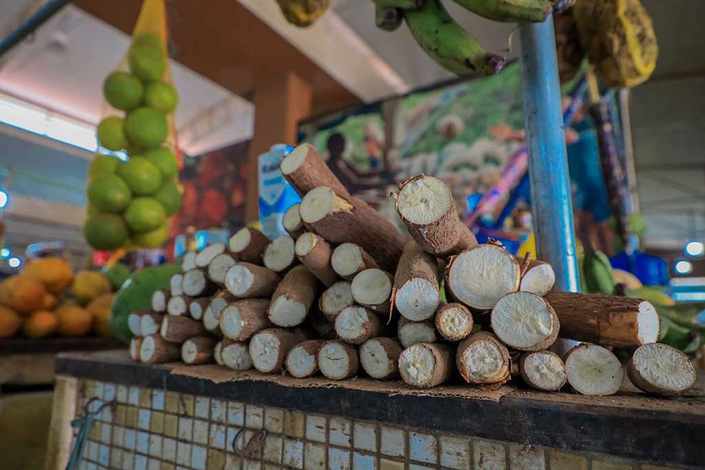 Na agricultura familiar, a banana, a melancia e a macaxeira dominam as culturas produzidas pelos produtores no município - Gente de Opinião