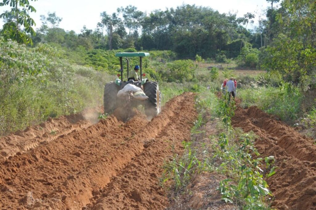 O governo oferece suporte técnico e capacitação aos agricultores familiares por meio da extensão rural. - Gente de Opinião