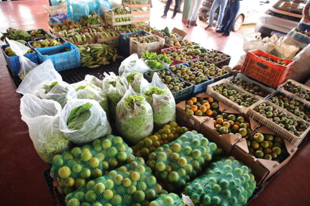 O Programa utiliza mecanismos de comercialização que favorecem a aquisição direta de produtos da agricultura familiar - Gente de Opinião