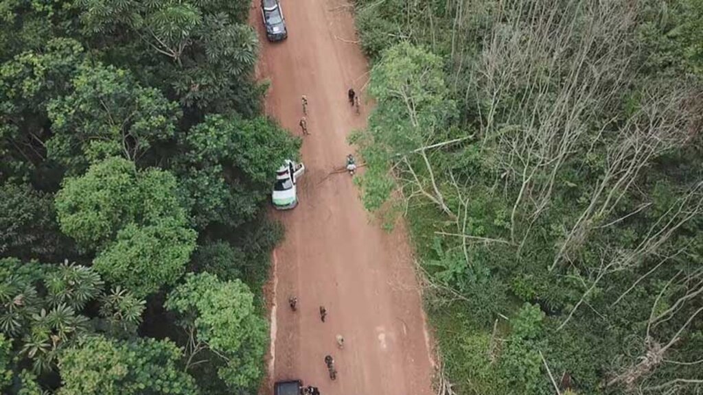 STJ mantém ordem de desocupação do Parque Estadual de Guajará-Mirim e elogia atuação do MPRO para a proteção da área e retirada pacífica de invasores - Gente de Opinião